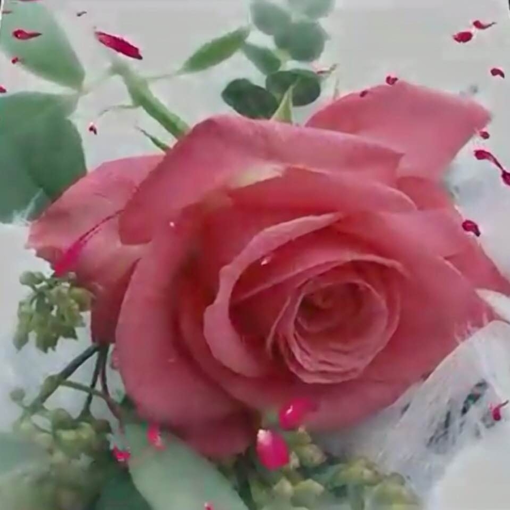 Meet your Posher, Grace